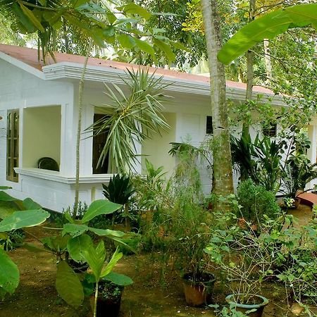 Jickys Nest Hotel Varkala Room photo