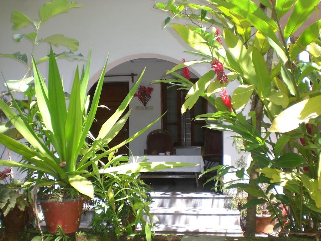 Jickys Nest Hotel Varkala Room photo