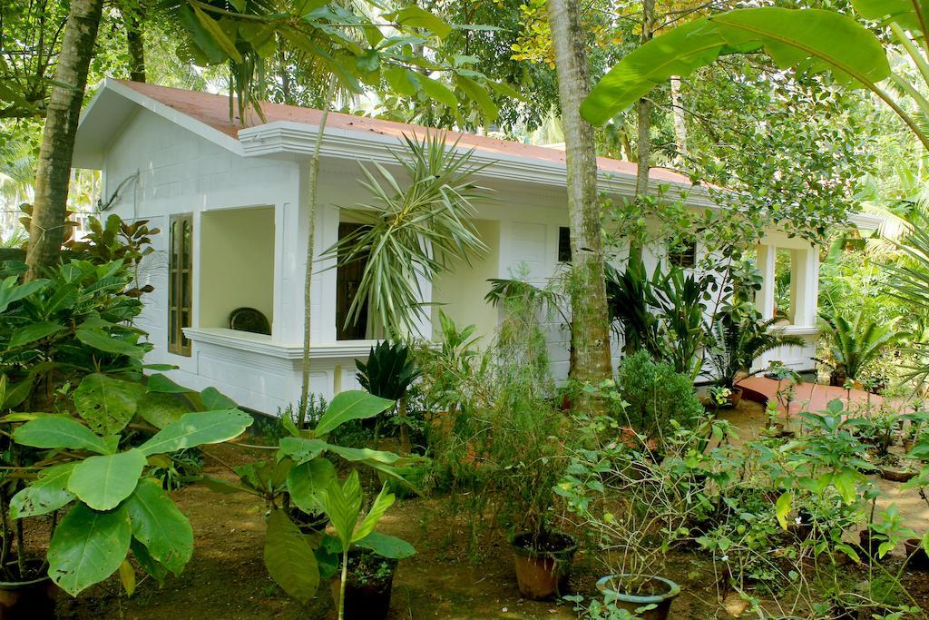 Jickys Nest Hotel Varkala Room photo