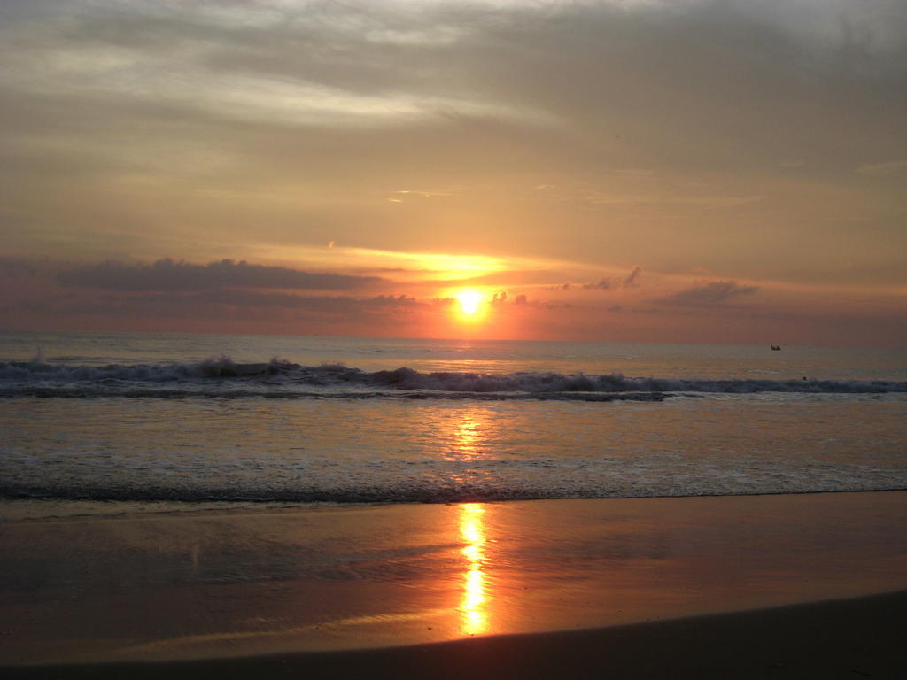 Jickys Nest Hotel Varkala Exterior photo
